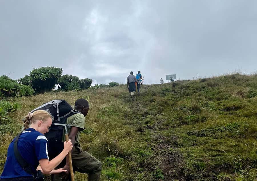 From Kigali: Bisoke Summit Trek, Crater Lake 1 Day Safari - From farmland into Volcanoes National Park
