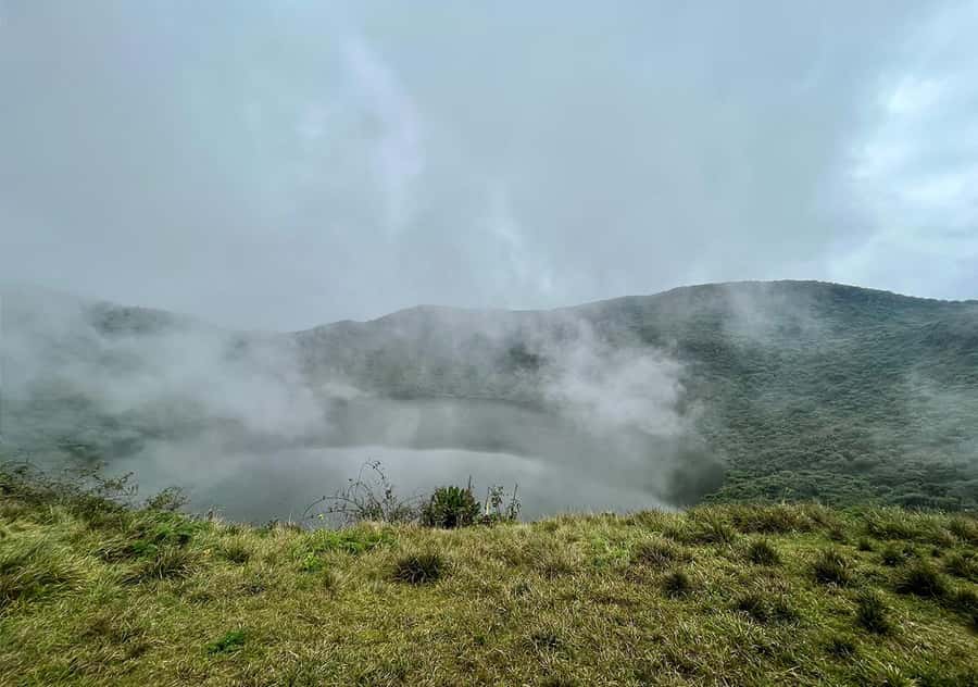 From Kigali: Bisoke Summit Trek, Crater Lake 1 Day Safari - The upper trail and giant heather