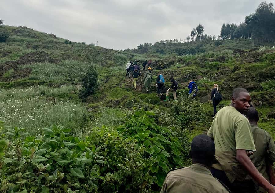 From Kigali: Bisoke Summit Trek, Crater Lake 1 Day Safari - The two-hour descent and ride back