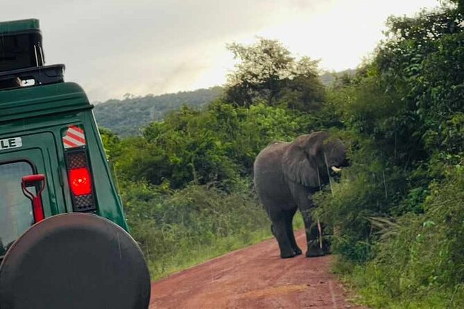 Full Day Akagera National Park Game Drive and Boat Safari - A useful stop at Imigongo Art Center