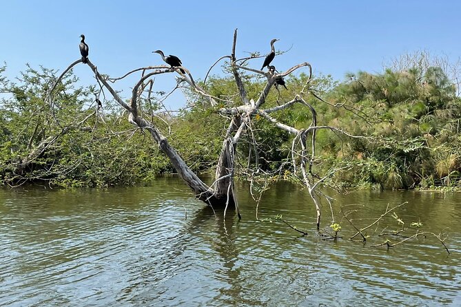 Full Day Akagera National Park Game Drive and Boat Safari - Six hours among rhinos, lions, and elephants