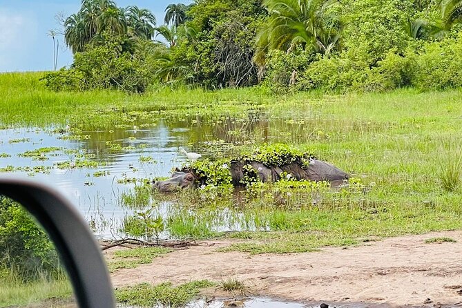 Full Day Akagera National Park Game Drive and Boat Safari - Leaving Kigali at 5:00 am