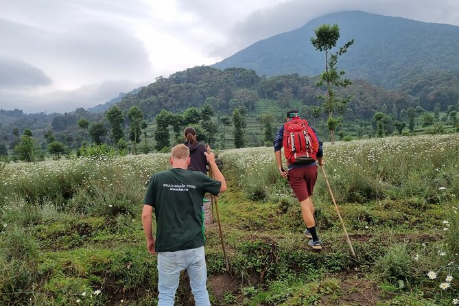 Full day Mt. Bisoke hike - Key points to know before booking
