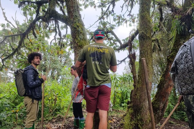 Full day Mt. Bisoke hike - What the guides and driver add