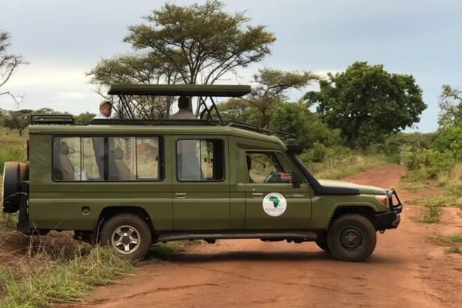 Full-Day Private Safari of Akagera National Park with Lunch - Why Akagera makes a strong Kigali day trip