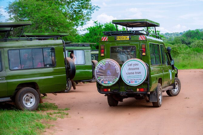 Full-Day Private Safari of Akagera National Park with Lunch - Nine hours inside Akagera National Park