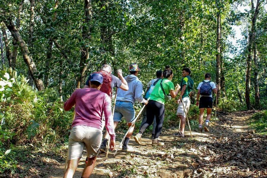 Golden Monkey Trekking with lunch - The 7:00 AM park briefing