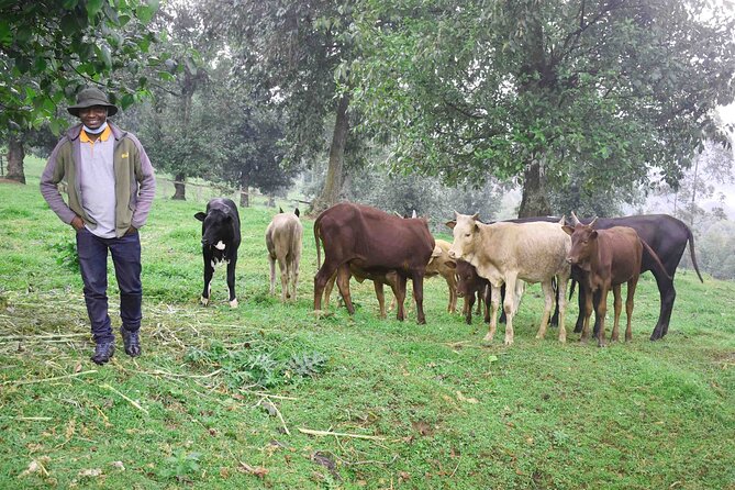 Home staying experience - The journey from Kigali to the village