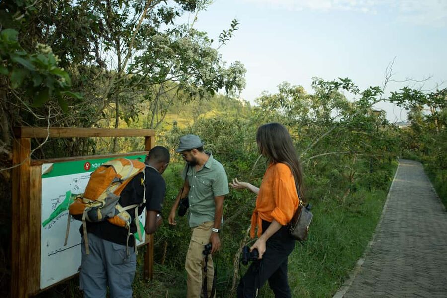 Kigali Eco Park Bird Watching Experience - Nyandungu Eco Park, Kigali’s birding escape
