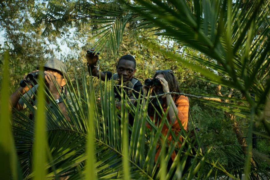 Kigali Eco Park Bird Watching Experience - Forest, savannah, and the smaller details