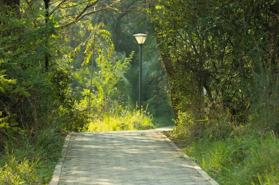 Kigali Eco Park Bird Watching Experience - Is $50 good value?