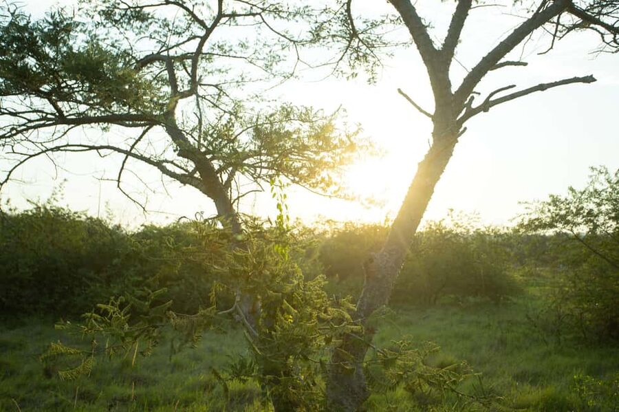 Kigali Eco Park Bird Watching Experience - Should you book the Kigali Eco Park Bird Watching Experience?