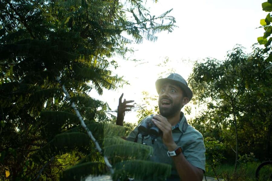 Kigali Eco Park Bird Watching Experience - What the four-hour bird walk is like