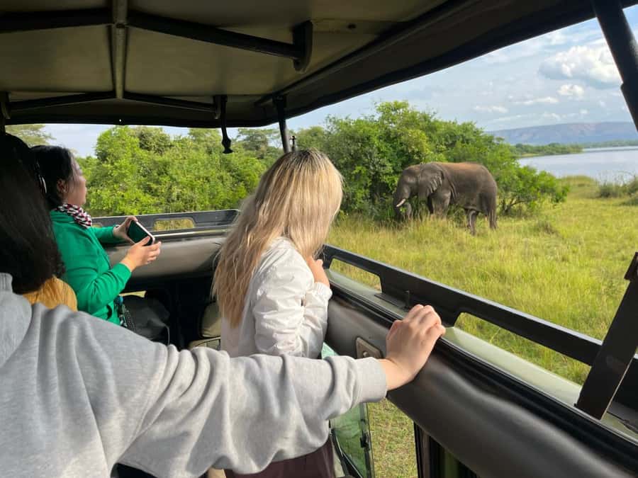Kigali: Full-Day Akagera Safari + Optional Boat Ride - Arrival, Safety Briefing, and the First Game Drive