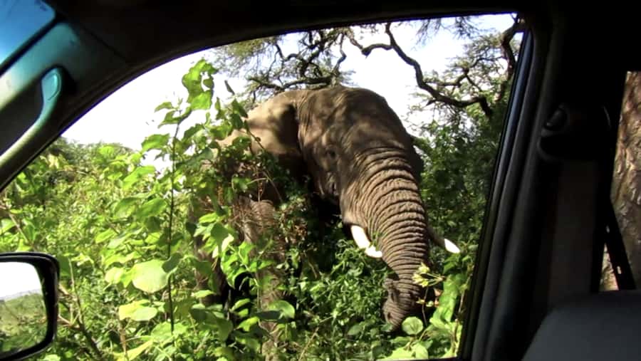Kigali: Full-Day Akagera Safari + Optional Boat Ride - The 4x4 Ride: Comfort, Visibility, and Limits