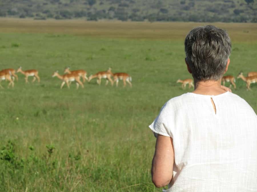 Kigali: Full-Day Akagera Safari + Optional Boat Ride - Guides Who Shape the Day