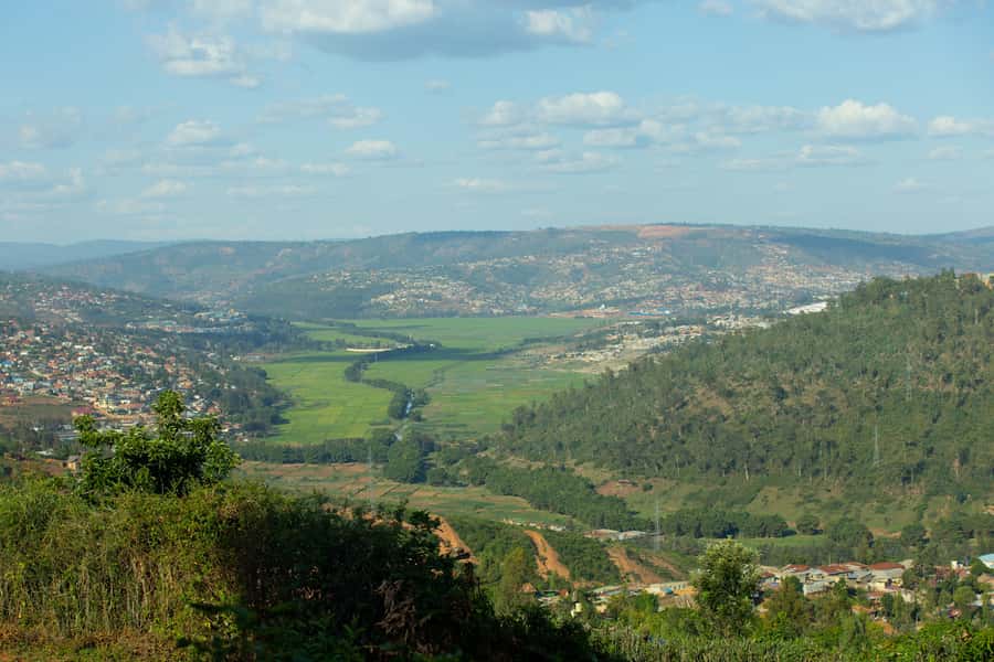 Kigali: Gatsata Village Storytelling Walk to Mount Jali - Plants, trees, and the natural side of the walk