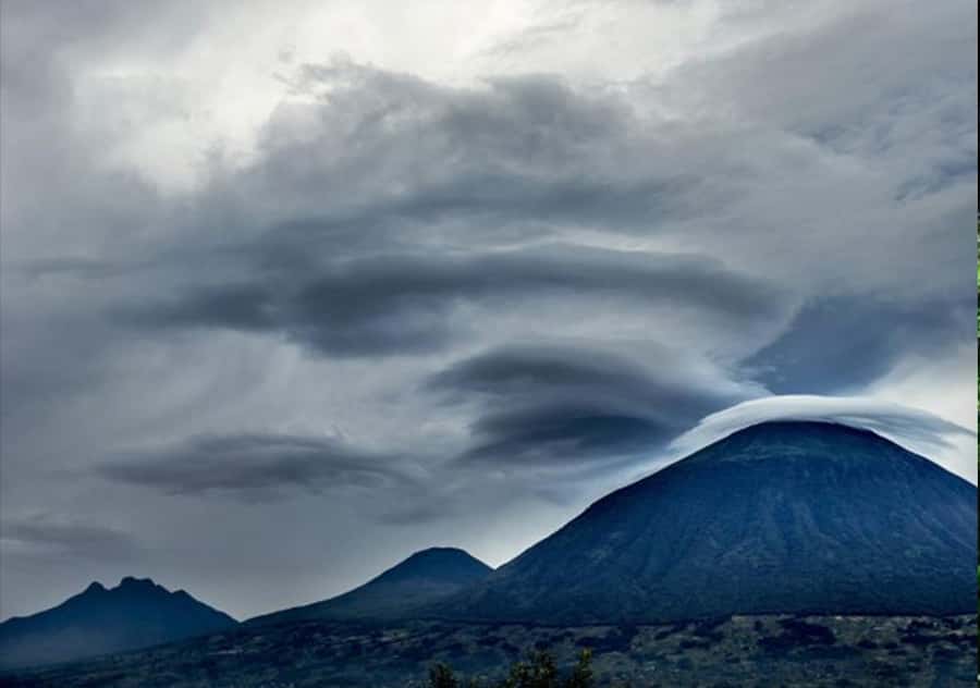 Kigali: Rwanda Gorilla Tracking in Volcanoes National Park - The hike from 2,500 to 4,000 meters