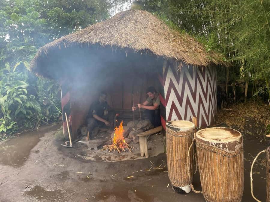Kigali: Rwanda Gorilla Tracking in Volcanoes National Park - One hour with a gorilla family