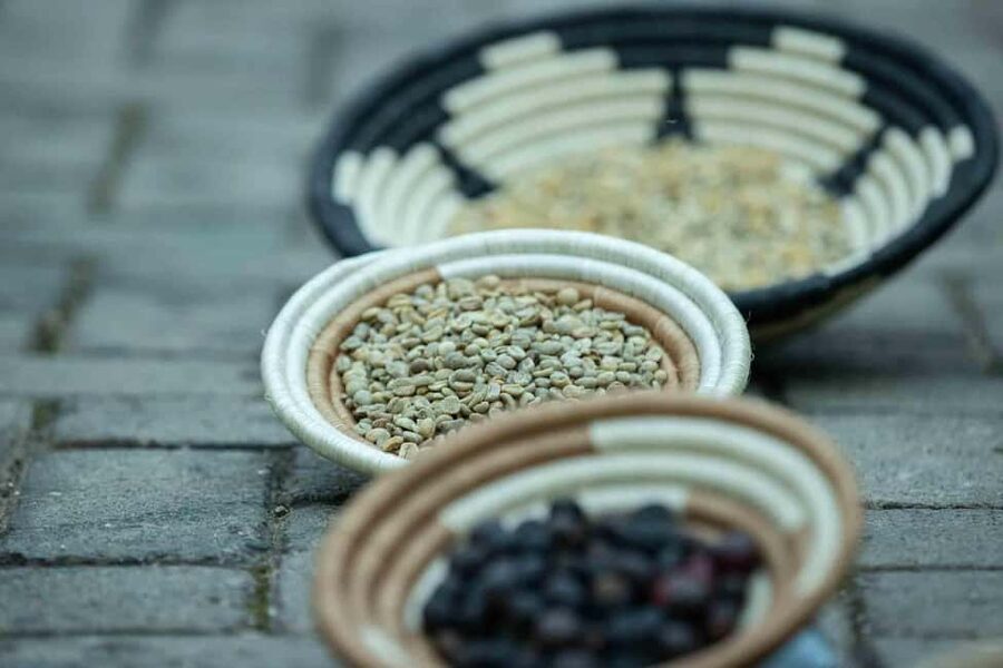 Kigali: Traditional Coffee Experience ( Bean to Brew) - What the $50 price really covers