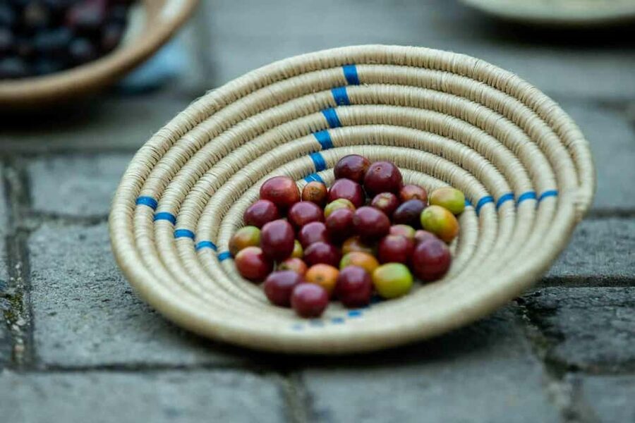 Kigali: Traditional Coffee Experience ( Bean to Brew) - Who will enjoy this Kigali coffee experience?