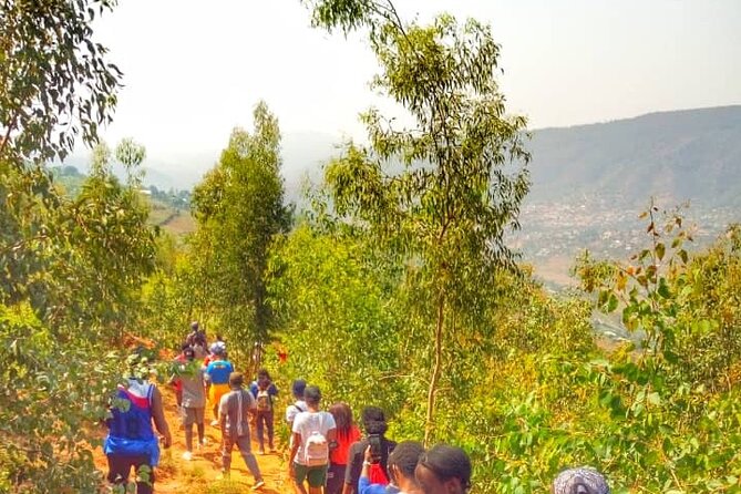 Local Community Tour(Cultural, Coffee,Village walk,Local food) - Coffee From Plantation to Cup
