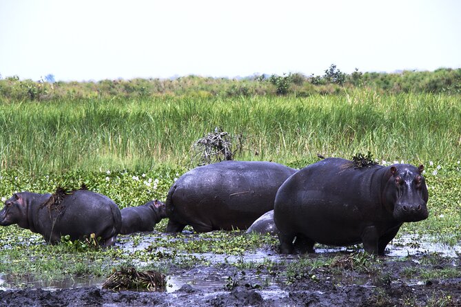 One-day Akagera National Park Game Drive with a Choice 4x4 - Entering Akagera National Park