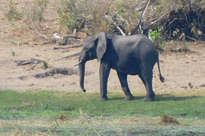 One Day Akagera Safari From Kigali - Lake Ihema and the southern park