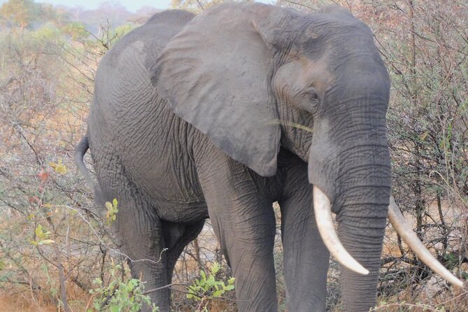 One Day Akagera Safari From Kigali - Who should choose this safari