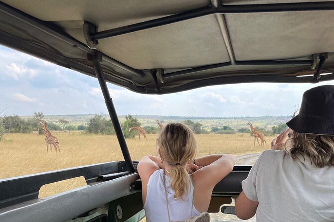 One Day Akagera Wildlife Safari - What The $205 Price Really Covers