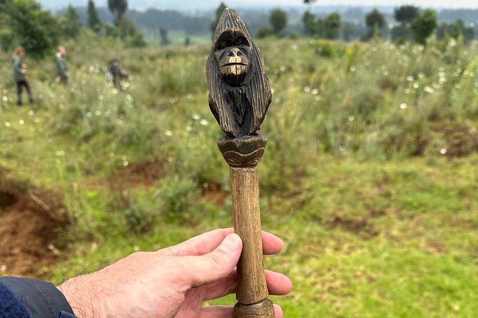 One Day Gorilla Trekking Rwanda & Iby'iwacu Cultural Village - Iby’iwacu Cultural Village after the forest