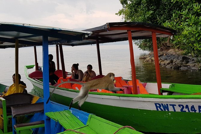 One-day Kivu Lake Adventure - What the guide adds to the day