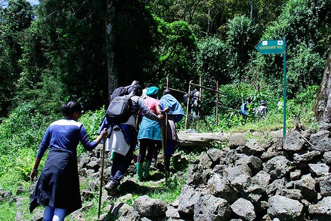 One Day Mount Bisoke Hike Adventure Tour in Volcanoes Park - What the Volcanoes National Park stop involves