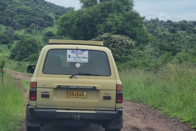 Private 1 Day Akagera Big Five Safari with pick up and lunch. - Who will get the most from this safari