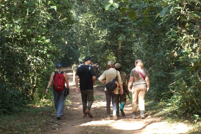 Private 2 Days Volcano Golden Monkey and Bwindi Gorilla Trek - 5:00 am from Kigali to Kinigi
