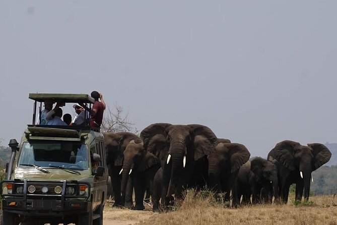 Private Full-Day Tour Akagera Game Drive - Why Akagera Makes Sense From Kigali