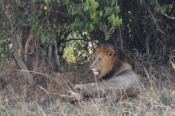 Private Full-Day Tour Akagera Game Drive - The Main Drawbacks to Plan Around