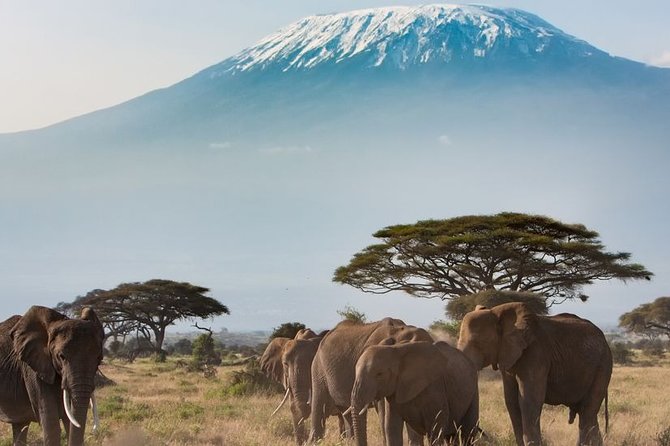 Private Transfer from Kigali Airport (KGL) to Kigali - The 15-minute ride into Kigali