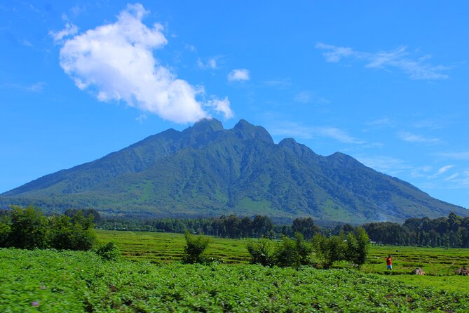 Scenic walk around volcanoes - What the three-hour route feels like