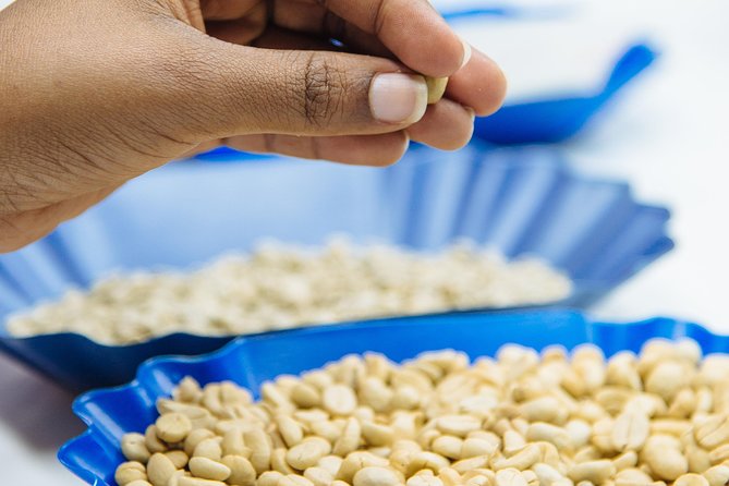 Specialty Coffee Masterclass - A short lesson on Rwanda’s coffee story