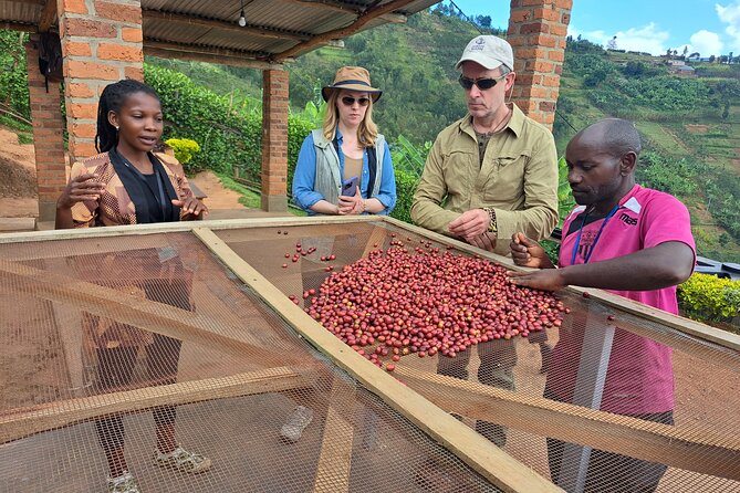 Tea and coffee tours - Why a farm visit adds something to your Rwanda trip