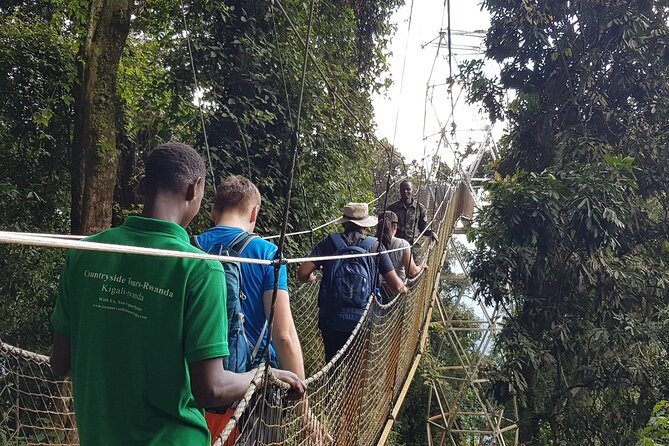 Three-day Nyungwe Canopy and Kivu Lake Adventure - Why this three-day route works