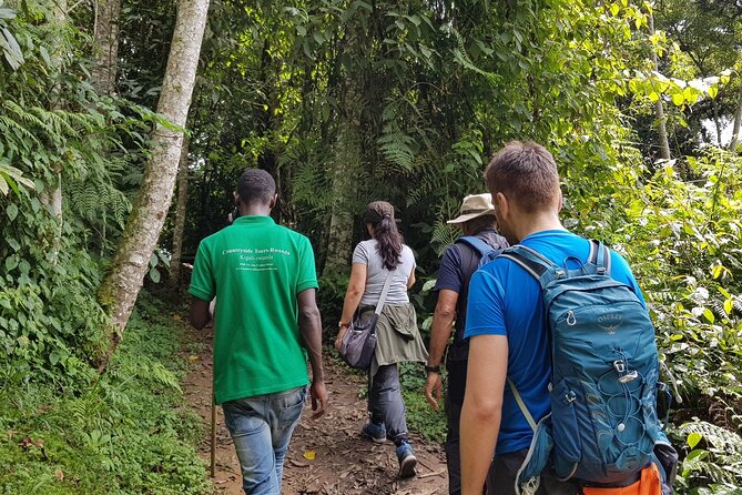Three-day Nyungwe Canopy and Kivu Lake Adventure - Day 1: From Kigali to the Uwinka canopy walkway