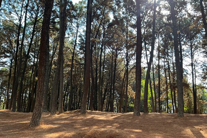 Unique Full-Day Kigali Private City Tour - Niyo Art Gallery and art that gives back