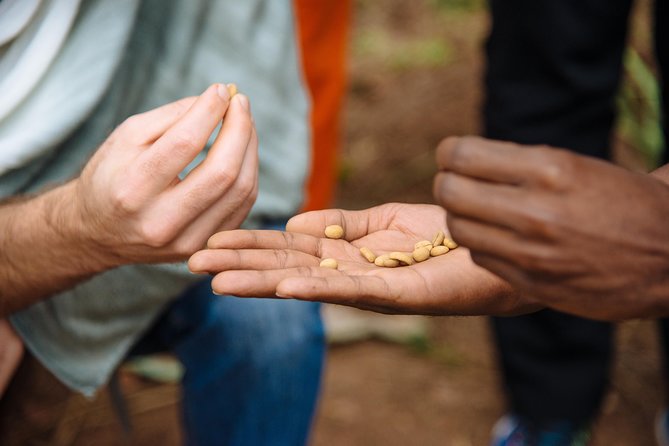 Women-led Coffee Farm Trek - A Welcome With Song, Dance, and Coffee